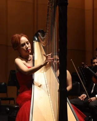 Lords Of The Sound Orchestra: The Music of Hans Zimmer