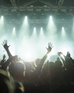 Fantastic Cat Ardmore