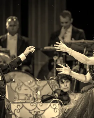 Andre Rieu Birmingham