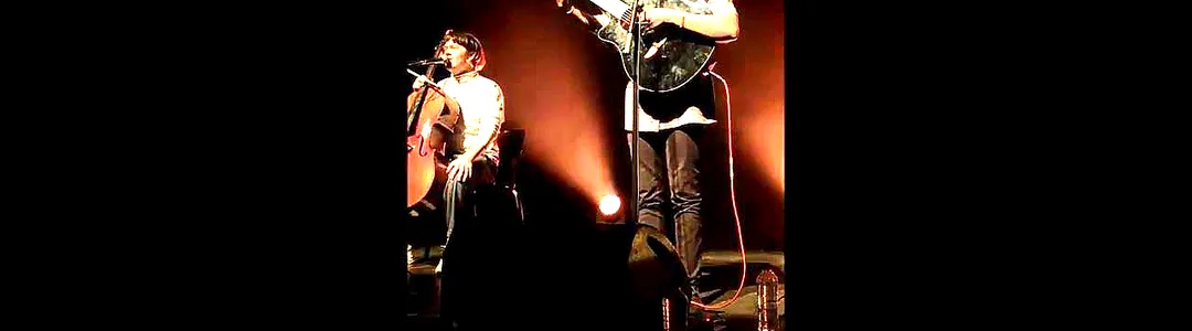 Avi Kaplan