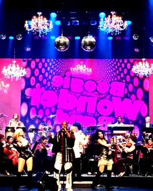 Boogie Wonder Band