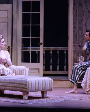 Cat On A Hot Tin Roof