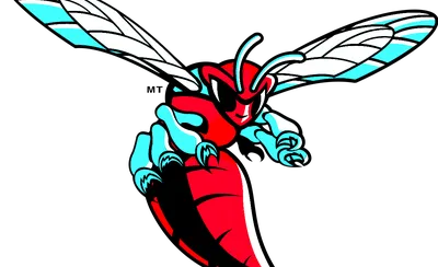 Delaware State Hornets Football
