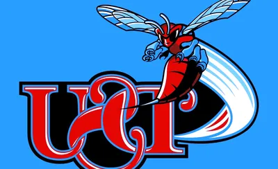 Delaware State Hornets