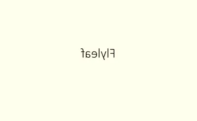 Flyleaf