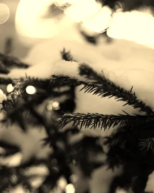 Irving Berlin's White Christmas