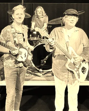 Pet Sounds Live