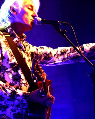 Robyn Hitchcock Ardmore