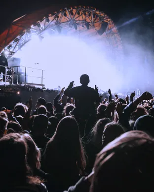 Roots Picnic: Jay-Z, The Roots & Erykah Badu - 2 Day Pass