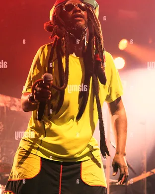 Steel Pulse