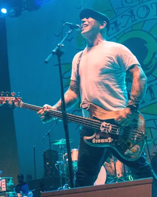 The Bouncing Souls