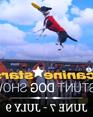 The Canine Stars Stunt Dog Show