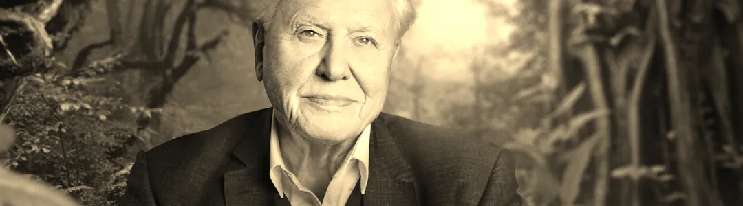 The Making of Life on Our Planet