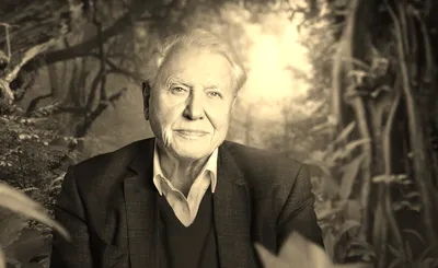 The Making of Life on Our Planet