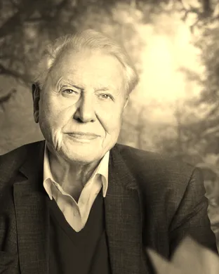 The Making of Life on Our Planet: Dinosaurs