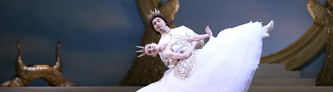 The Sleeping Beauty - Ballet