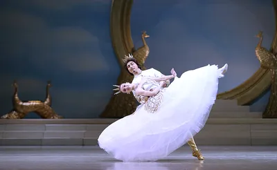 The Sleeping Beauty - Ballet