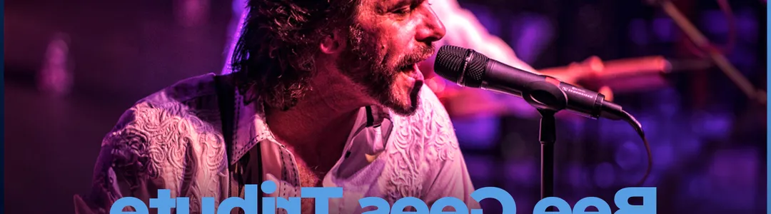 The Ultimate Tribute to The Bee Gees