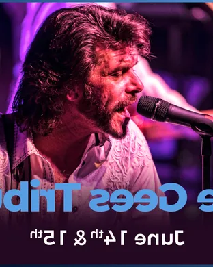 The Ultimate Tribute to The Bee Gees