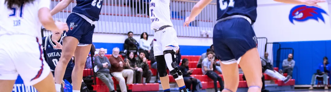 UMass Lowell River Hawks