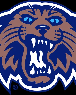 Villanova Wildcats Villanova