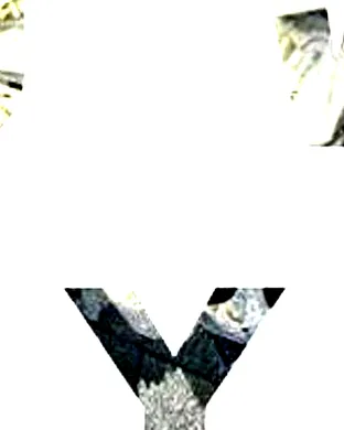 Wu Lyf