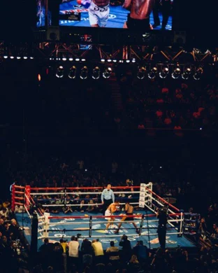 UFC 330 sports event