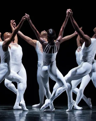 Rhythm of The Dance Princeton